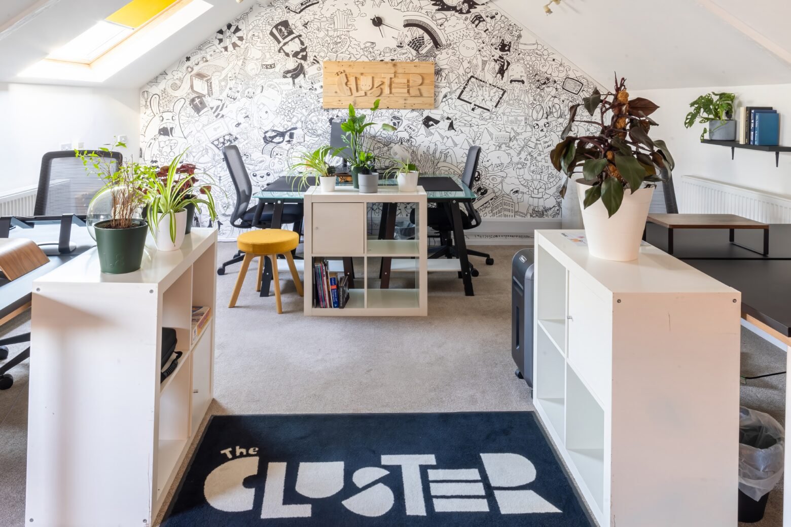 The Cluster