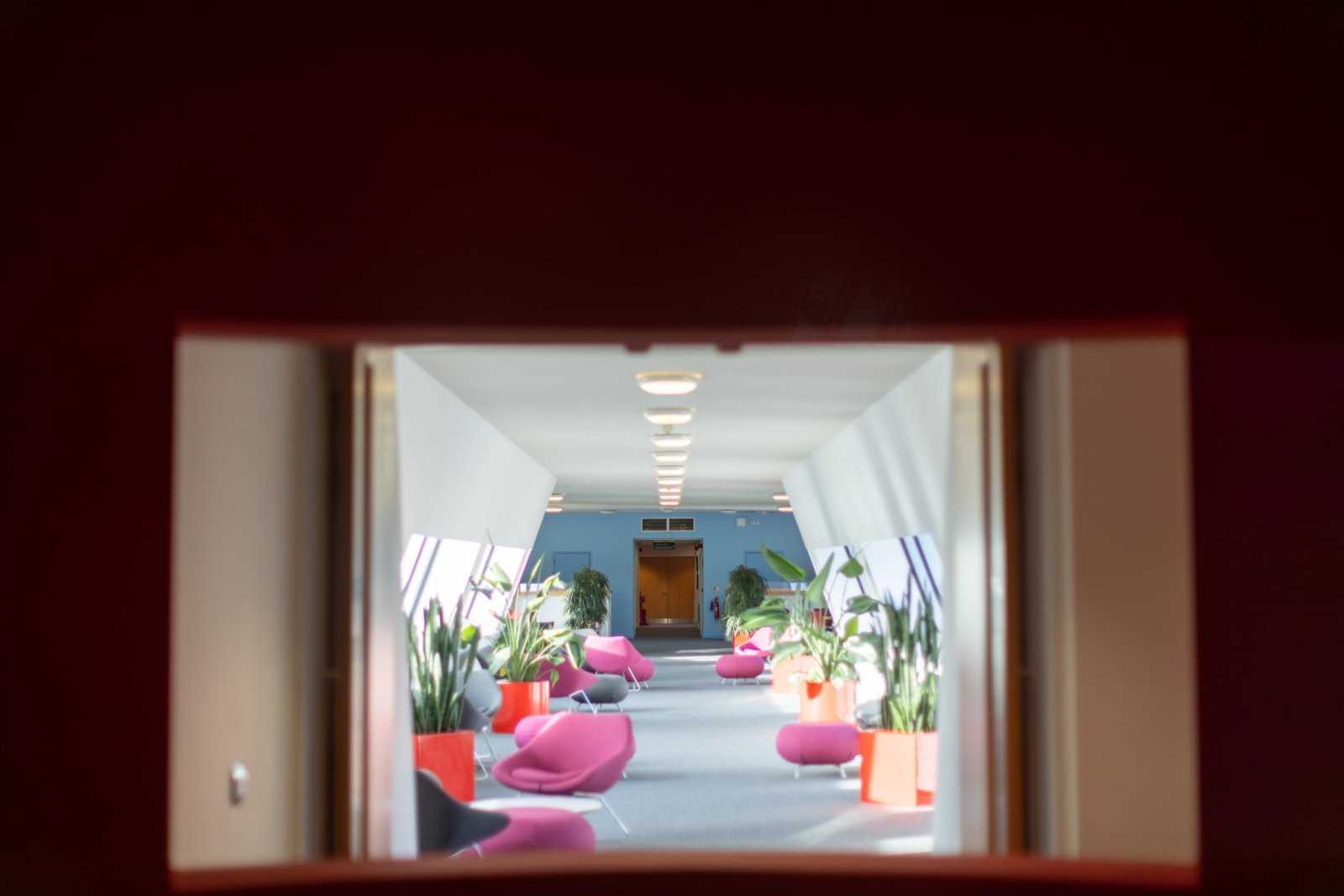 Office spaces designed for collaboration